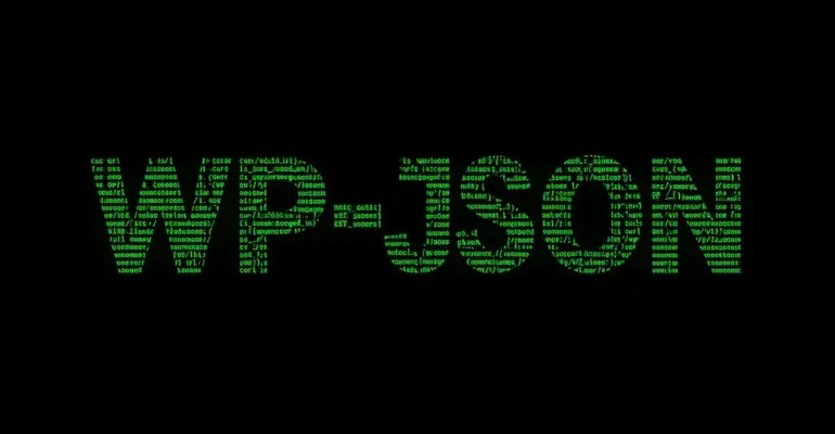 wp-json